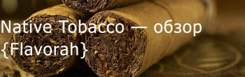 FLV Native Tobacco — обзор ароматизатора