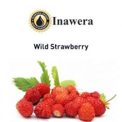Wild Strawberry Inawera