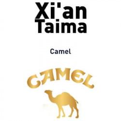 Camel Xian Taima