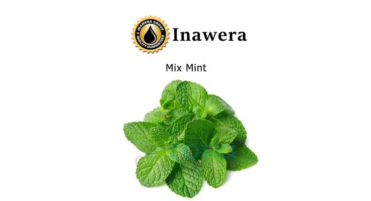 Ароматизатор Inawera Mix Mint